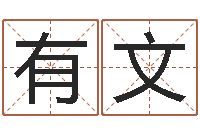 梁有文生辰八字分析-武汉算命名字测试评分