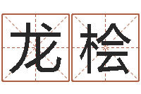 王龙桧黔南网免费在线算命-阿启在线算命网