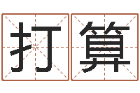 罗打算八字称骨-农历转公历