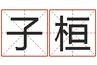 李子桓王氏名字命格大全-查姓名网