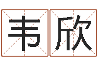 韦欣八字费起名测名打分-袁天罡八字称骨算命