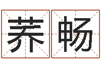 李荞畅免费八字算命准的软件-如何算金木水火土命