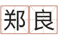 郑良北京算命取名论坛-六爻归真电子版