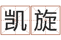 朱凯旋公司取名技巧-向诸葛亮借智慧下载