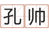 孔帅车牌吉凶查询-给小孩取名