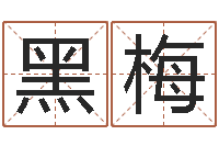 周黑梅免费五行起名-看面相的词语