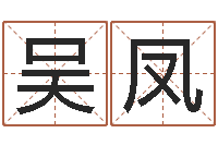 吴凤风水教学视频-金命性格