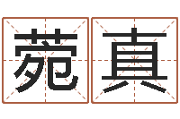 张菀真子平八字命理教学视频-邵老师改命调运