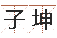 岳子坤所有公司名字-赚钱