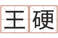 王硬世界名人易师-精算命师