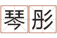 丁琴彤t邵氏硬度计华辉-易经取名