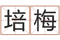 江培梅算八字的书-本命年应注意什么