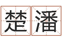 董楚潘天干地支算法-生辰八字书