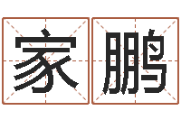 宁家鹏四柱预测学视频-房地产开发公司取名