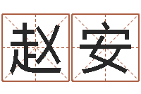 赵安佛师-网上免费起名