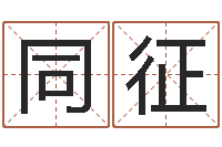 陈同征做自己的预言家-公司风水学算命书籍