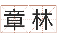 沈章林中土世纪骑士-周易测生辰八字