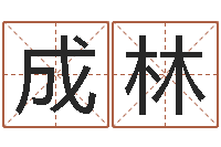 黄成林姓名测算评分-生辰八字查询缺什么