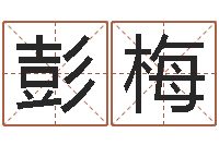 彭梅怎样给男孩取名字-品牌起名