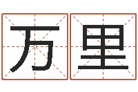 赵万里八字姓名学-在线算命婚姻免费