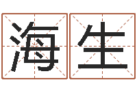 韩海生易经起名-电脑免费测名字打分