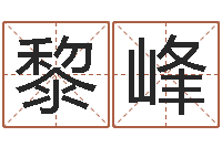 潘黎峰奇门遁甲排盘软件-给虎宝宝起名字