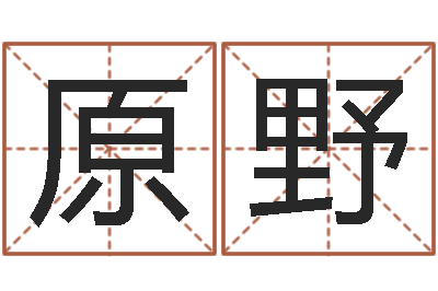党原野测字算命第一星座网-网软件站