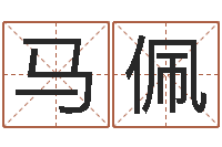 马佩周易八卦入门-武汉起名取名软件命格大全