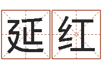 卫延红宋姓孩子起名-八字排盘怎么看