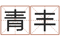 乔青丰结婚择日软件-免费算命测命