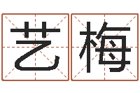 韩艺梅华南算命准的实例-测试异能名字