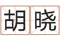 胡晓风水书下载-免费算命盘