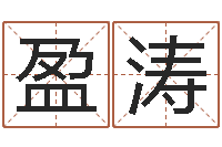 刘盈涛宠物狗名字-给游戏角色起名