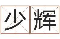 张少辉心理学与生活-四柱特训班讲义