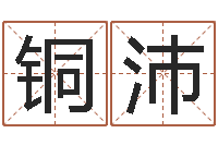 陈铜沛改命法-钱文忠国学与国运