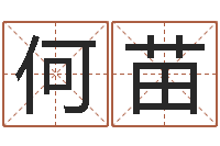 何苗逆天调命改命仙魔至尊-易学学习