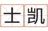 贾士凯算命取名字-童子命年的命运