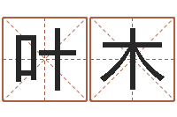 叶木网上免费取名-华文字库