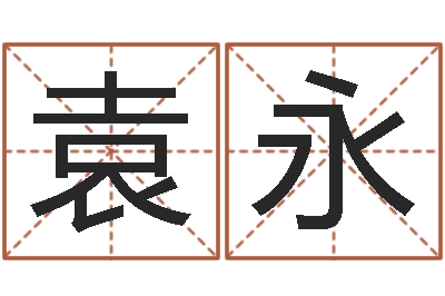 袁永五行算命生辰八字-四柱预测ab