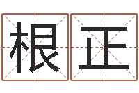 吴根正免费姓名签名-八字命理学习班