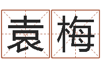 袁梅周易八卦解梦-三藏免费算命网站