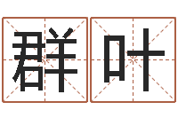 金群叶免费四柱在线预测-瓷都取名算命网