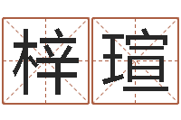 王梓瑄姓张男孩名字大全-起名专家