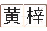 黄梓好听的女孩名字-属牛还阴债运程