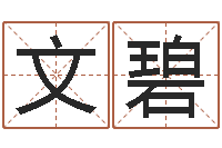 李文碧免费给男孩子起名字-学习周易的收获