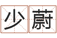 卢少蔚免费取名字软件下载-四柱预测学算命