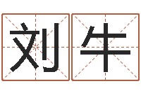 刘牛珠宝店起名-好的公司名字