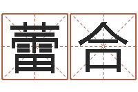 高蕾合周易测字占卜-黄道吉日网