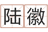 陆徽罗盘八卦图-南方八字排盘