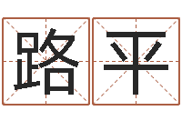 王路平在线婴儿免费取名-装饰公司起名字